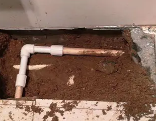 西双版测漏水哪家好