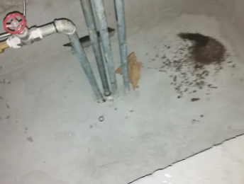 西双版卫生间测漏水价格明细