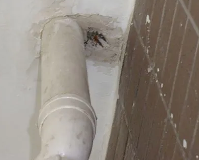 西双版漏水检测哪家好